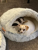 Premium Pet Bed